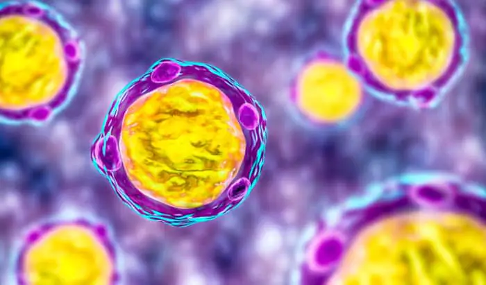 Gut inflammation caused by substance secreted by microbe Blastocystis