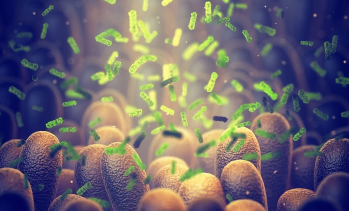 Gut microbiome could delay onset of type 1 diabetes