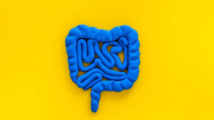 ASD medication trial targeting gut bacteria