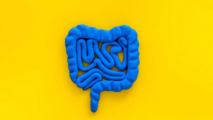 ASD medication trial targeting gut bacteria