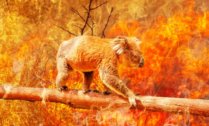 Weighing up risk: home insurance in a changing climate