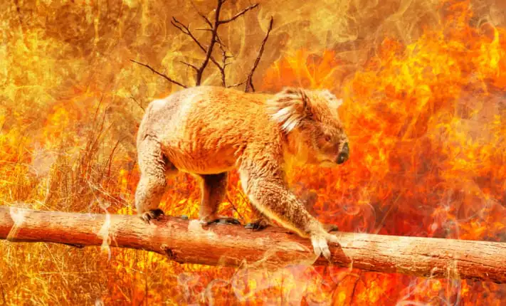 Weighing up risk: home insurance in a changing climate climate change