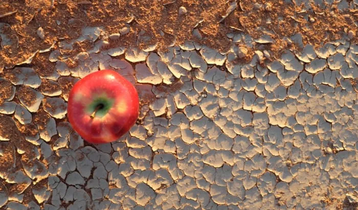 Interconnected challenges of climate change & nutrition