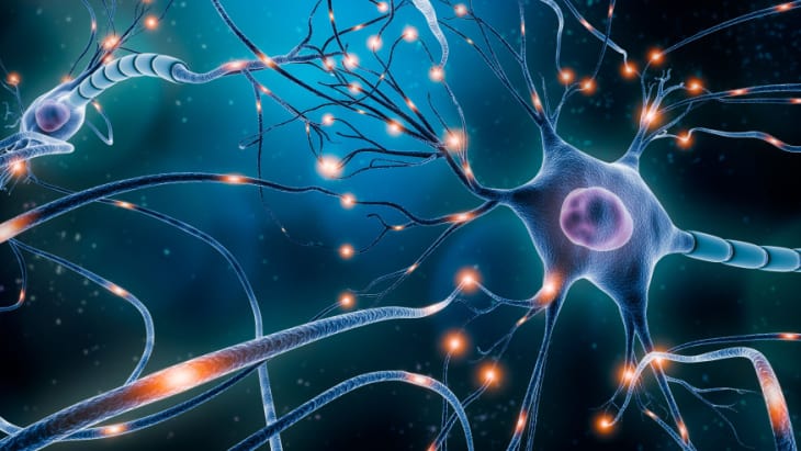 Neuronal back-up system discovered