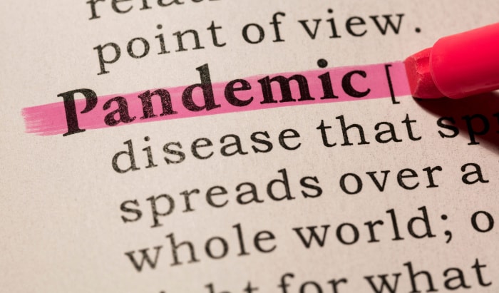 Flu pandemics followed by recurrent outbreaks for around two decades