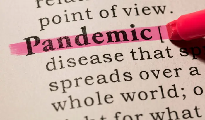 Flu pandemics followed by recurrent outbreaks for around two decades