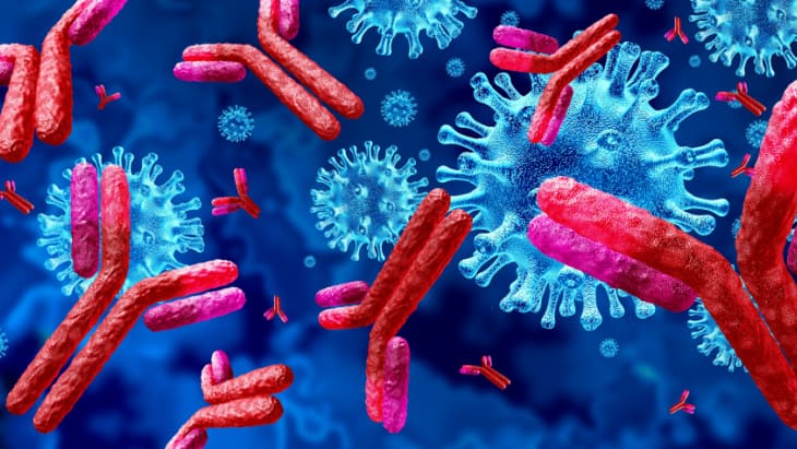 Immunosuppressed are least likely to have COVID-19 antibodies