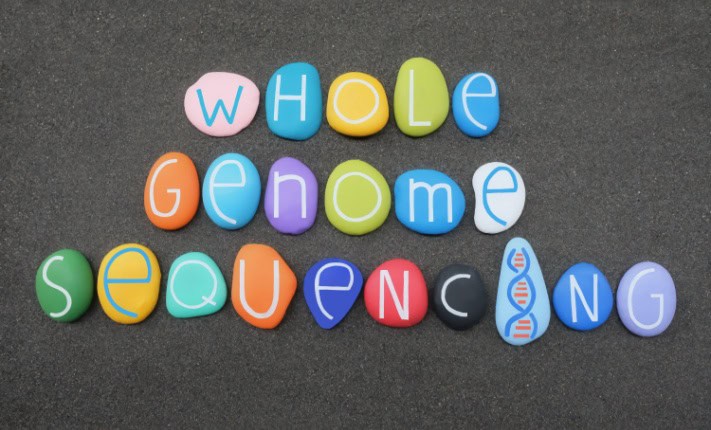 Pilot whole genome sequencing service