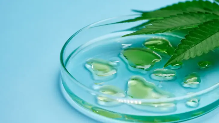 Medicinal cannabis study for children in palliative care