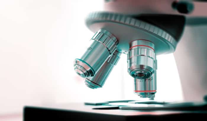 Biochemical synthesis discovery could unlock new drug development breakthroughs