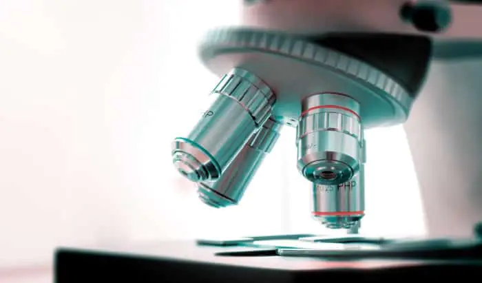 Biochemical synthesis discovery could unlock new drug development breakthroughs