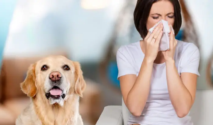 Asthma: Everyday Triggers Making Your Symptoms Worse triggers