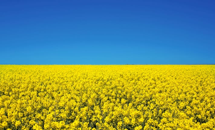 Topic: Simple steps to get ahead this hay fever season