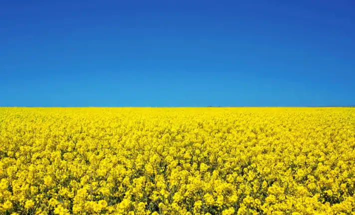 Topic: Simple steps to get ahead this hay fever season hay fever season