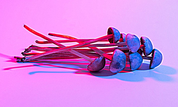 Psychedelic experiences linked with improved sexual function