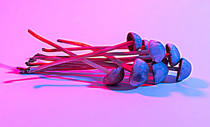 Psychedelic experiences linked with improved sexual function psychedelic experiences