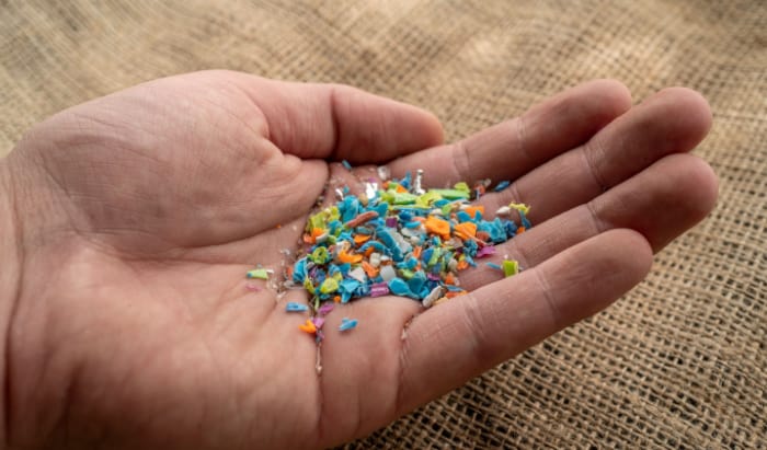 Polyethylene particles show adverse effects in cell lines