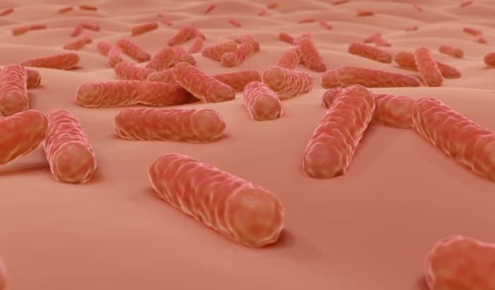 Skin microbiome identified as factor in stem cell transplants