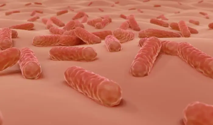 Skin microbiome identified as factor in stem cell transplants stem