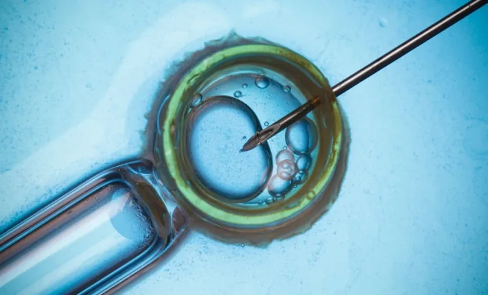 Hope and female choice when it comes to fertility