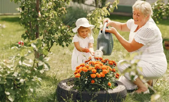 Motivating Aging Parents for Improved Well-Being Aging Parents