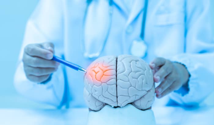 A thyroxine derivative enhances brain drug delivery