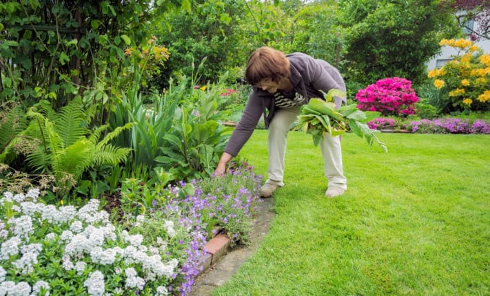 Promoting Joint Health habits in National Gardening Week
