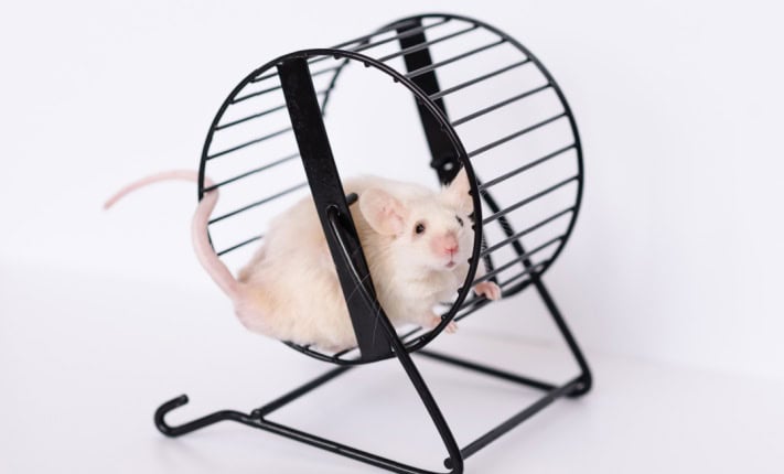 Exercise can help slow cognitive decline