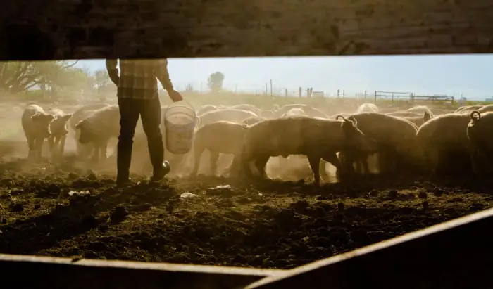 Mental health in farming – who cares?