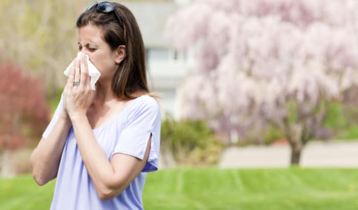 A staggering 49% of us have hay fever!