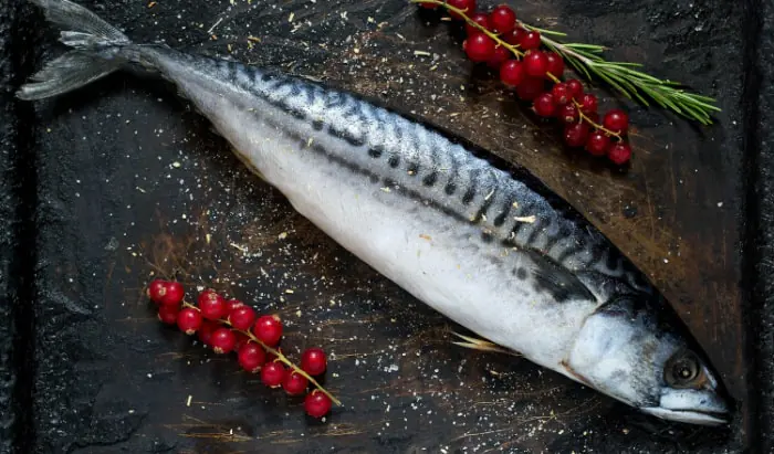 Fatty fish consumption increases cell membrane fluidity fatty