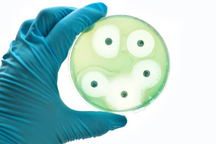 Sepsis study to power new antibiotic discoveries