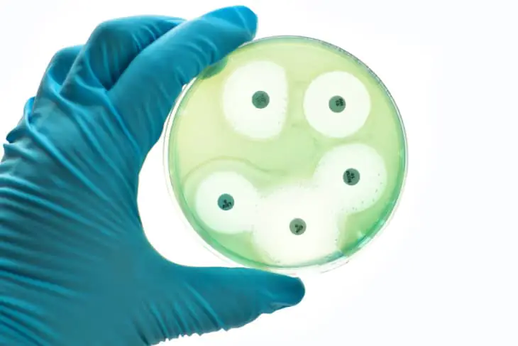 Sepsis study to power new antibiotic discoveries sepsis study