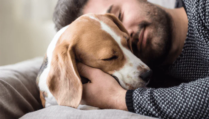 The health benefits of pets