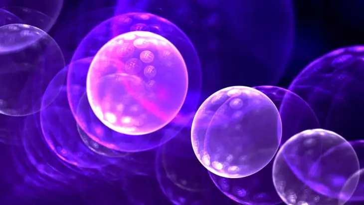 Pioneering bacteria research