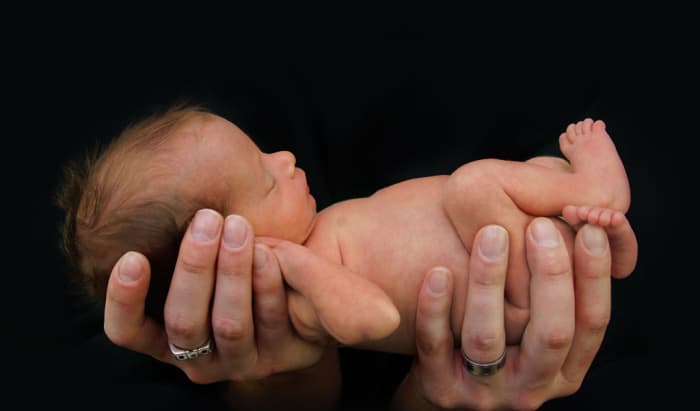 Carnitine intake is associated with better postnatal growth in very preterm infants