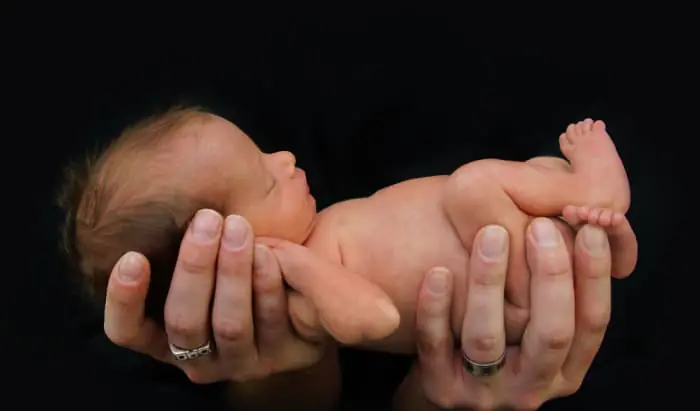 Carnitine intake is associated with better postnatal growth in very preterm infants