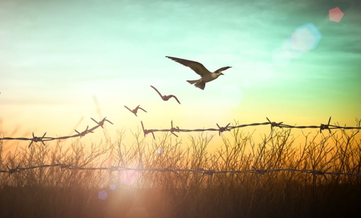 New report on restraint and restrictive practices in Australia
