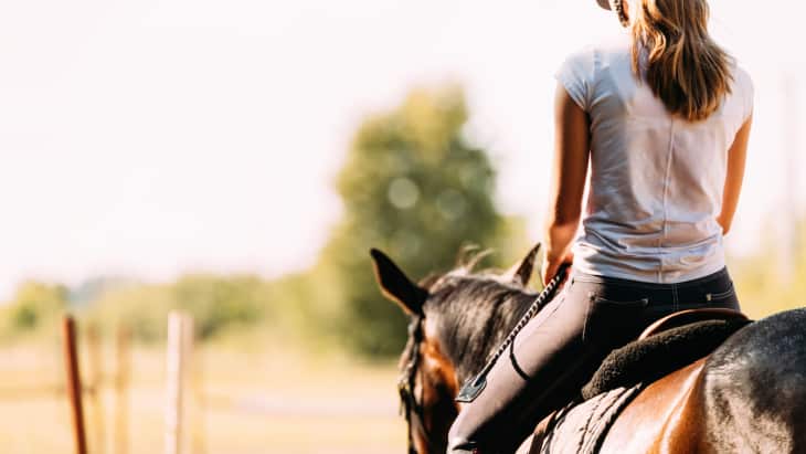 Equine facilitated therapy for low back pain