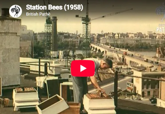Station Bees (1958)