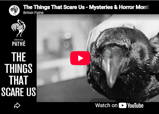The things that scare us