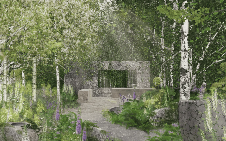 RHS Chelsea Flower Show 2024: Inside the Forest Bathing Garden for Muscular Dystrophy UK