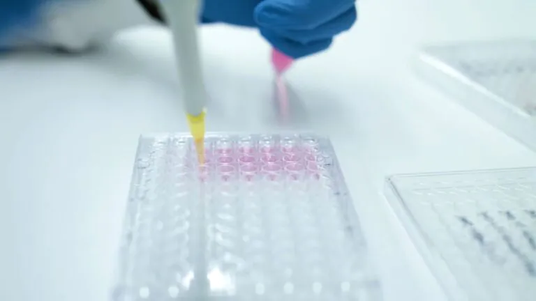 New imaging for targeted cancer therapy