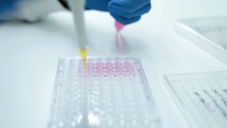 Skin cancer treatment to help transplant patients