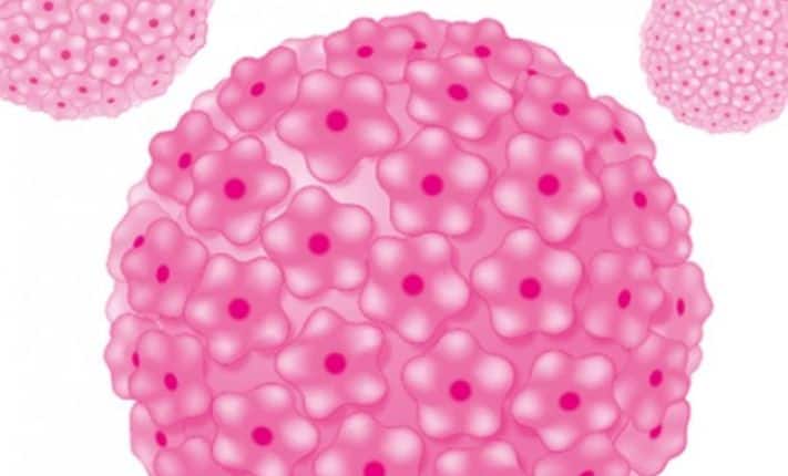 Cervical Screening Awareness Week 19th – 24th June 2023