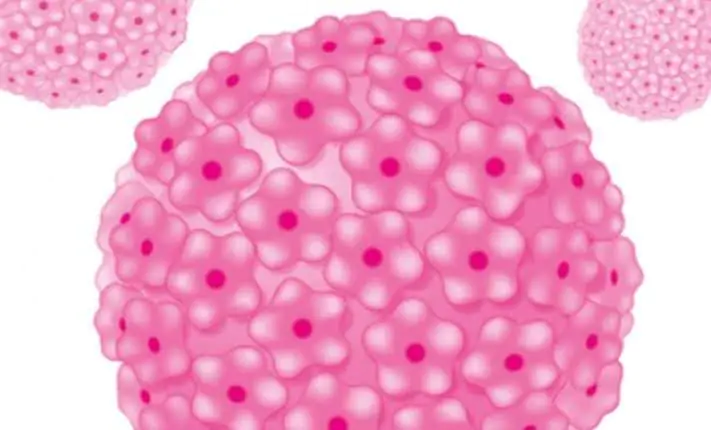 Cervical Screening Awareness Week 19th – 24th June 2023