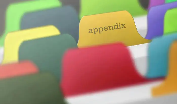 Surgical approach to a malignant appendix