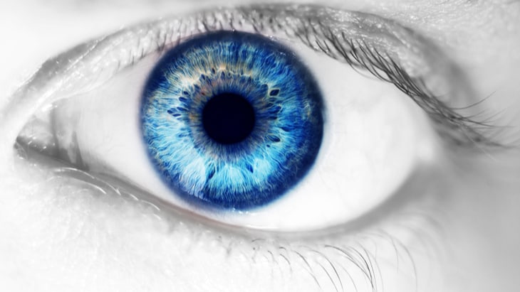 Six simple sight savers