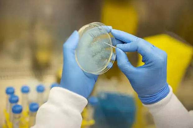 University of Queensland partners with Moderna