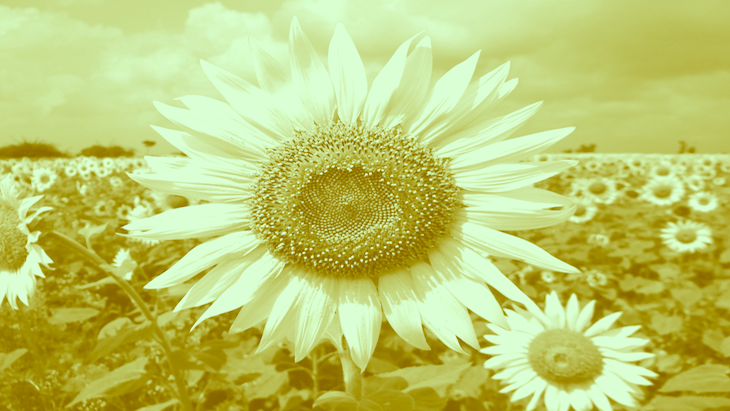 Vitamin D: A lifesaver for pre-surgery patients